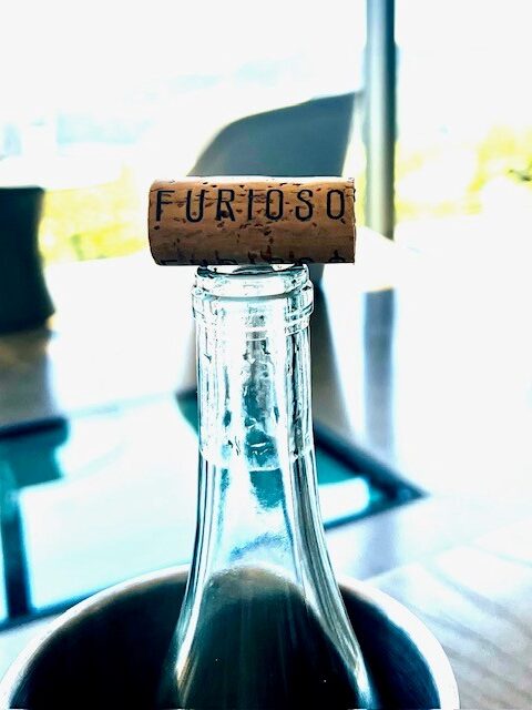 Furioso Vineyards in the Dundee Hills