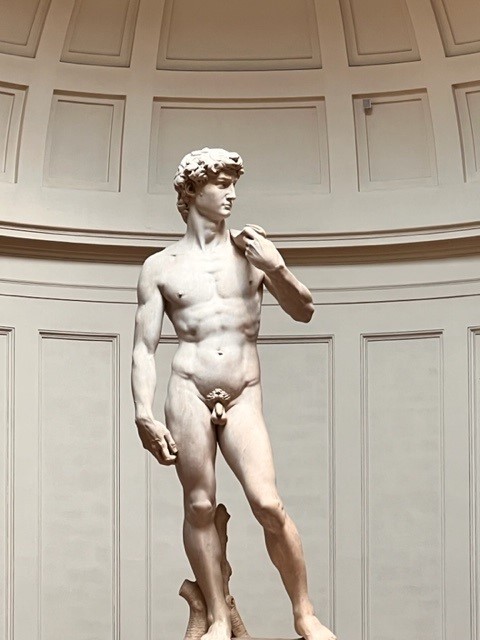 Photo of Michelangelo's Statue of David in Florence, Italy