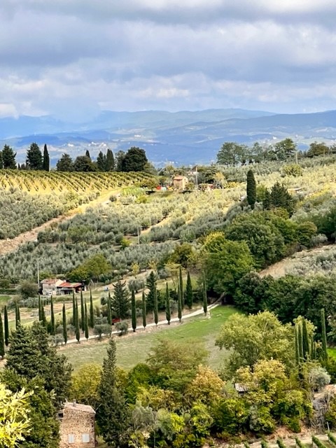 Photo of a Tuscan Landscape in Italy