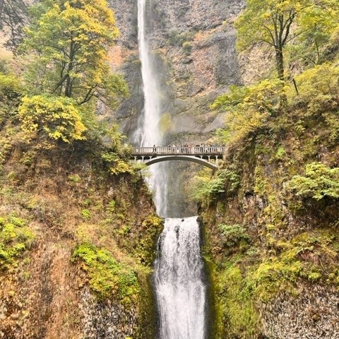 Photo of Multnomah Falls in the Columbia River Gorge, Oregon