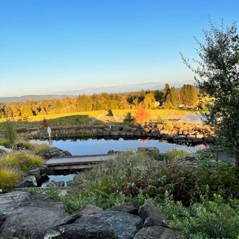 Photo of a winery in Dundee, Oregon